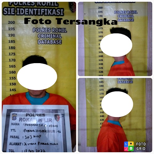 Meresahkan Warga, Agen Chips Higgs Domino Ditangkap Polres Rohil
