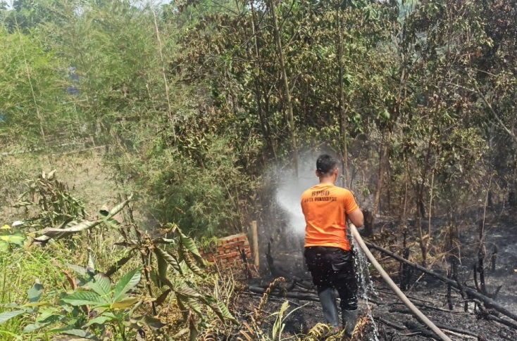 BPBD Padamkan Kebakaran Lahan di Dua Lokasi di Pekanbaru