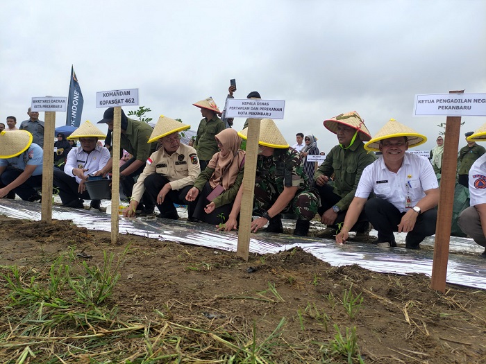 Pj Wali Kota Pekanbaru Luncurkan Pekanbaru Bertani dan Canangkan Gerakan Menanam Cabai
