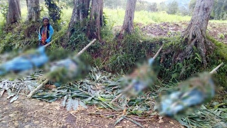 Ngerinya Pembantaian di PNG, Korban Diserang Pakai Pistol dan Pisau, Ditembak, Ditikam Lalu Dimutilasi