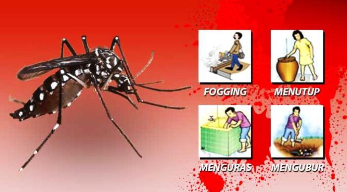 Waspada, DBD Serang Puluhan Warga Sungai Apit