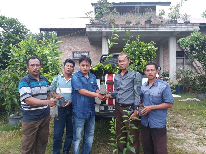 Kelompok Tani Air Terjun di Kampar Peroleh Bantuan Bibit, Pupuk dan Pestisida dari RAPP
