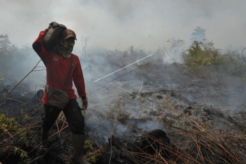 Kabut Asap Karhutla, 1.136 Warga Pekanbaru Terpapar ISPA