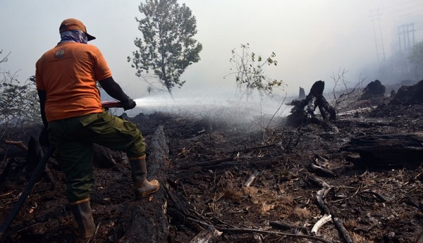 8,5 Hektare Lahan Gambut di Bungaraya Siak Terbakar