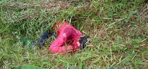 Pasangan Suami Istri Tewas Dibunuh di Batang Cenaku, Dua Anaknya Masih Bayi Lolos dari Maut
