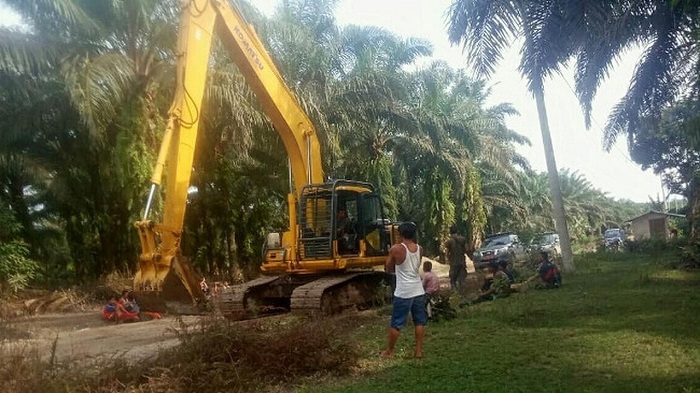 Katanya Ada Izin Ninik Mamak, Mantan Anggota TNI Kuasai  1.500 Hektare Hutan Lindung di Riau