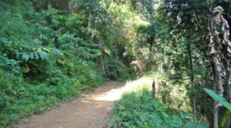 NGERIII, Ada Suara Minta Tolong dari Sungai Batang Moncak Kuansing, Saat Dicari Ternyata...