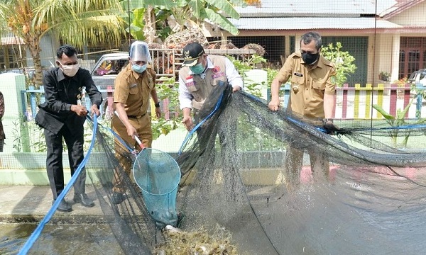 Guru-guru TK dan PTQ ini Banting Stir Budidaya Lele, Hasilnya Sungguh Bikin Tergiur...
