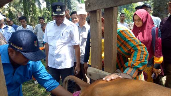 Dinas PUPR Siap Kembangkan Kawasan Wisata Agrowisata
