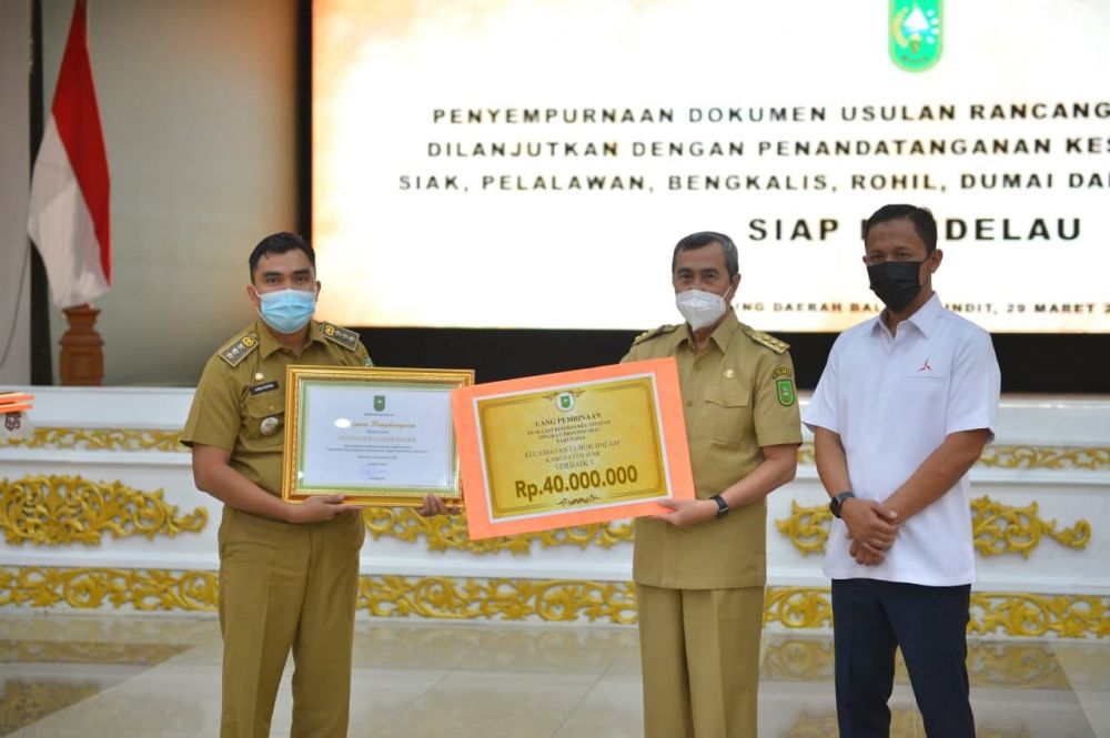 Raih Penghargaan Kecamatan Terbaik 2020, Camat Lubuk Dalam Sampaikan Inovasinya
