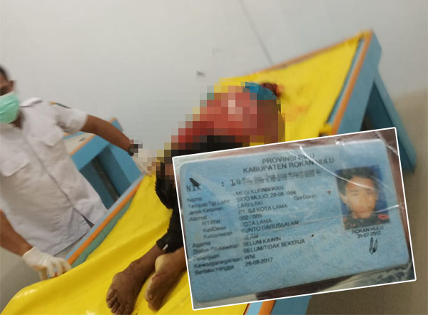 Warga Rohil Tewas Dilindas Bus Sentosa, Saksi: Remuk Kepalanya, Kaki dan Tangan Patah, Badannya Hancur