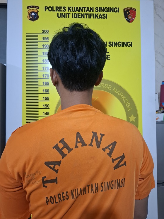 Pengedar Sabu dan Ganja Berhasil Diamankan Tim Elang Polres Kuansing