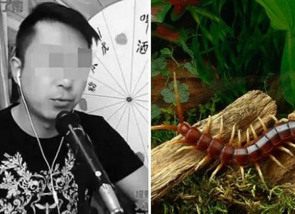 Ngeri! Vlogger Ini Tewas Saat Live Makan Kelabang dan Tokek Hidup
