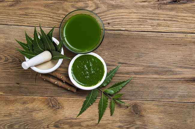 Daun Neem, Inilah Beragam Manfaatnya untuk Kulit dan Rambut
