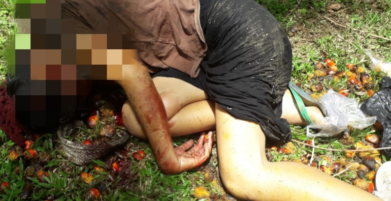 MENGERIKAN...Rismanaini, Janda Dua Anak Tewas Dibunuh di Kebun Sawait, Leher Putus