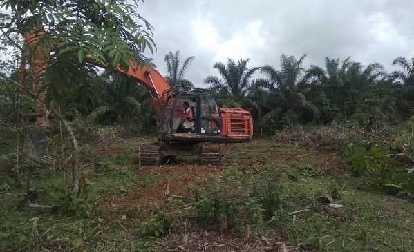 Warga Kecamatan Kampar Kiri Optimalkan Lahan Untuk Agrowisata  Aneka Tanaman Buah