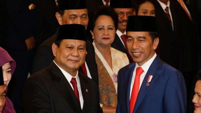 Mengapa Prabowo Rela Jadi 'Pembantu' Jokowi? Gerindra: Dia Sangat Visioner, Kadang-kadang Nalar Kita Tidak Nyampe