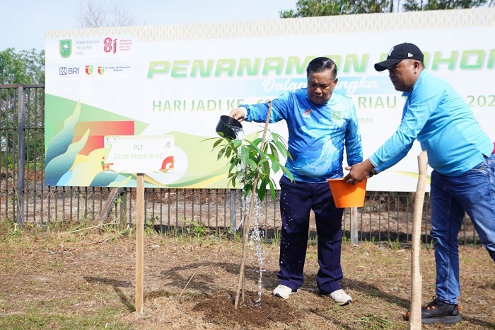 Hari Jadi ke-69 Riau, Pemprov Tanam 2.500 Pohon di Kawasan Stadion Utama Riau
