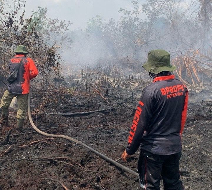 Tim Gabungan Berjibaku Padamkan Api di Bengkalis, Kampar, dan Inhil
