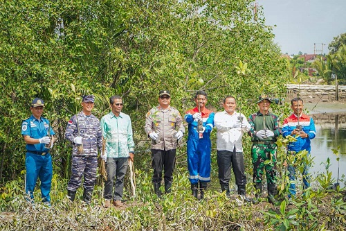 Kolaborasi Jaga Lingkungan, Wawako Apresiasi Penanaman 3.000 Mangrove di Daerah Aliran Sungai Dumai
