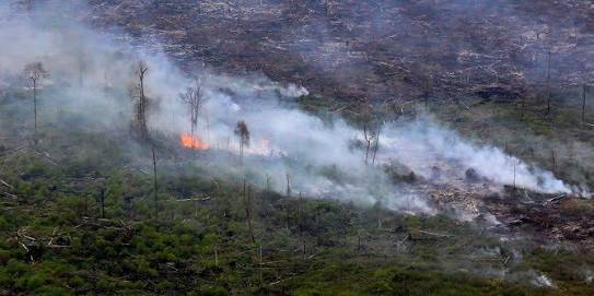 Riau Dikepung 1025 Titik Api, Kabut Asap Masih Mengancam Kesehatan Warga