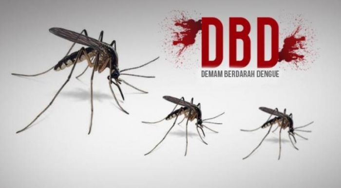 Hingga Mei 2018, 27 Warga Pekanbaru Terkena DBD, 2 Meninggal Dunia