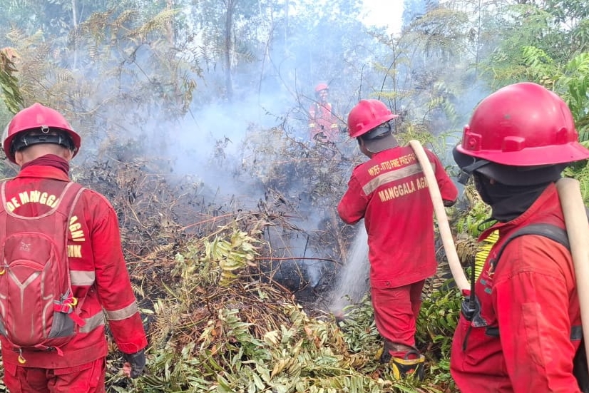 Bupati Rokan Hilir Terbitkan Maklumat Larangan Bakar Lahan