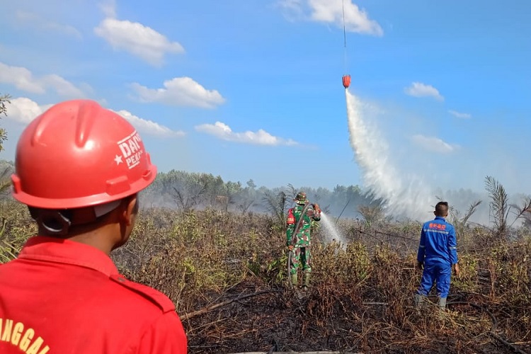 Tiga Daerah di Riau Tetapkan Siaga Darurat Karhutla
