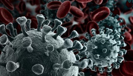 Kemenkes Sebut Dua Kasus Mutasi Virus Corona B.1.1.7 Masuk RI dari Arab Saudi