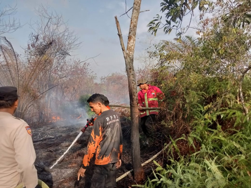 BPBD  Kampar Turun Tangan untuk Padamkan Kebakaran Lahan di Desa Sipungguk