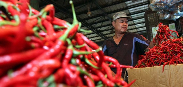 Harga Cabai Turun, Bawang Naik  di sejumlah Pasar di Pekanbaru