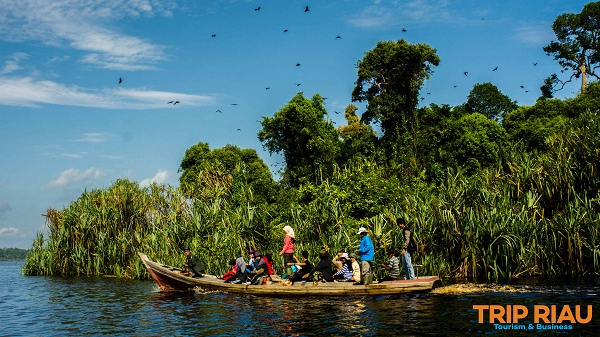 Agar Tepat Sasaran, Lansekap Lima Bentang Alam di Riau Harus Perhatikan Kearifan Lokal