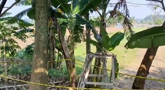 Anggota DPRD Ditemukan Tewas Tergantung di Pohon