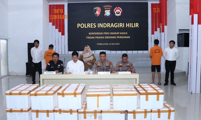 70.800 Benih Lobster di Inhil  Gagal Diselundupkan