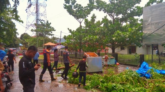 DUARRR...Usai Disambar Petir, Pohon Timpa Warung Makan di Meranti, Seorang Wanita Dilarikan ke Rumah Sakit