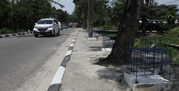 GAWAT...Lebih Setengahnya Dimaling, Pemko Akhirnya Copot Seluruh  Lampu Penerang Pohon