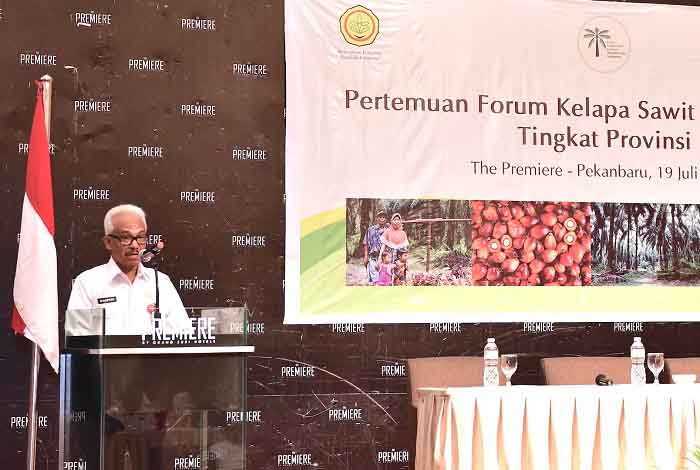Pemprov Riau Gelar Forum Kelapa Sawit Berkelanjutan