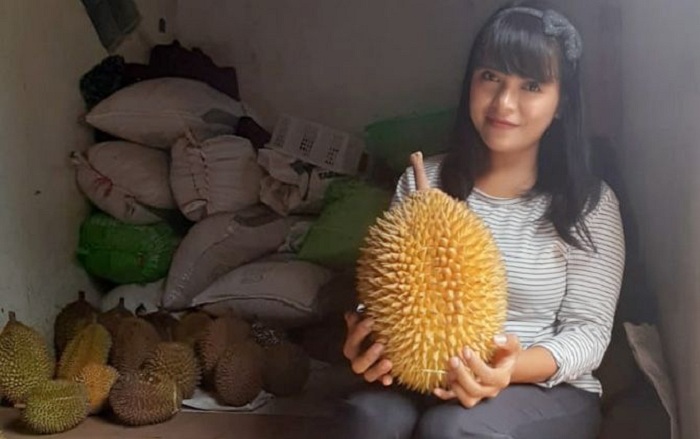 MAKNYUS...Ini Namanya Durian Oranye Khas Trawas, Nonkolesterol, Sensasi Rasanya Menggoda, Mau Coba?