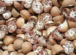 Harga Pinang Kering di Riau