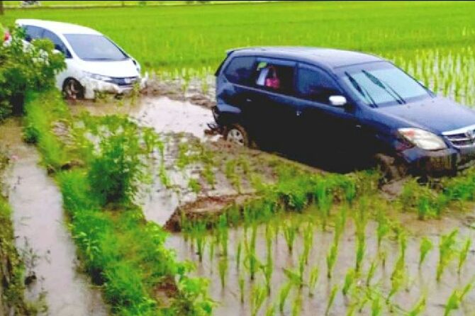 Ada-ada Saja, Honda Jazz Paksa Toyota Avanza Parkir di Tengah Sawah