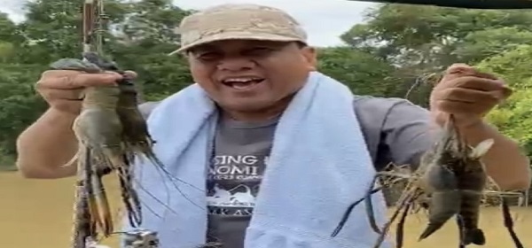 STRIKE! Bupati Kuansing Boyong 3 Kilogram Udang Galah dari Mancing di Inuman