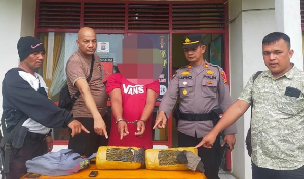 Polsek Tambusai Berhasil Gagalkan Peredaran 1,8 Kg Ganja Jaringan Antar Provinsi