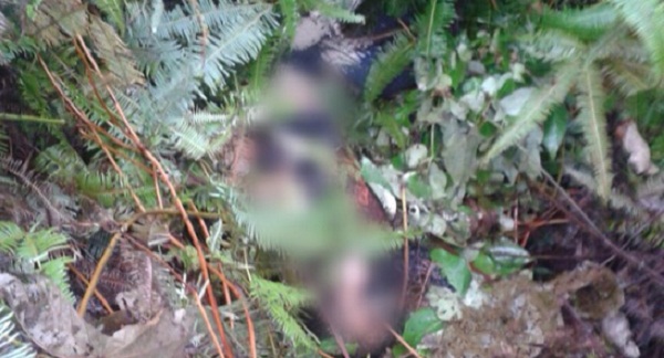 Polisi Tangkap Satu Terduga Pembunuh Bos Sawit di Kemuning di Padang Lawas Timur