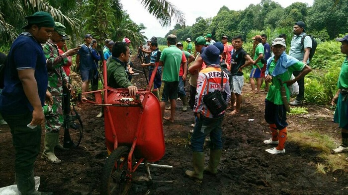 TOLONGGG...Lagi Asyik Panen Sawit, 20 Pekerja Panik Kedatangan Harimau Bonita