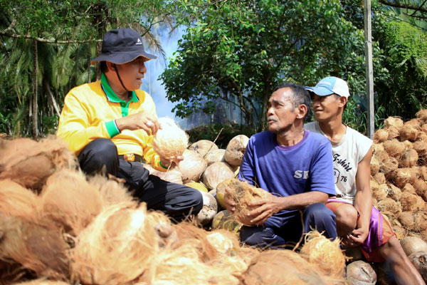 Ini Jawaban Fraksi Golkar DPRD Inhil Terkait Program Penyelamatan Kebun Kelapa 