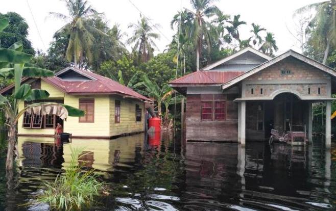 TERUS DIGUYUR HUJAN, Rumah Warga Teluk Latak Kembali Terendam Banjir