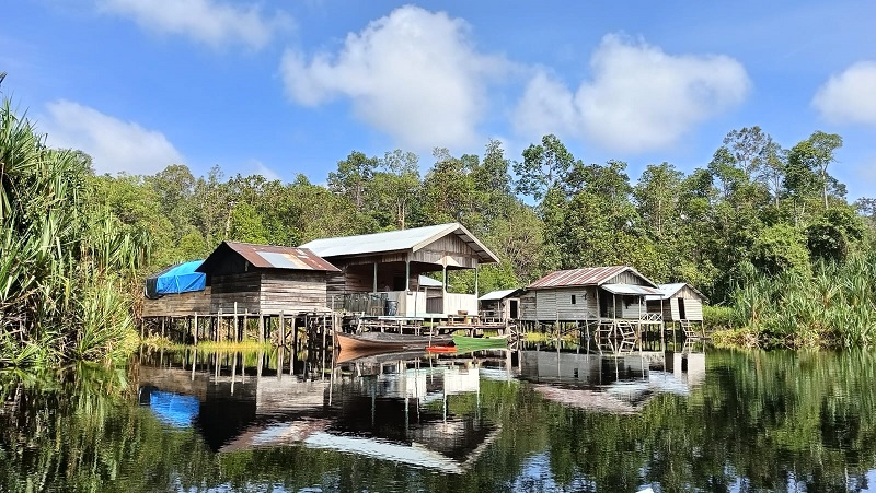 Melirik Restorasi Alam di Semenanjung Kampar, Kolaborasi Dunia Usaha dan Masyarakat  Selamatkan Bumi