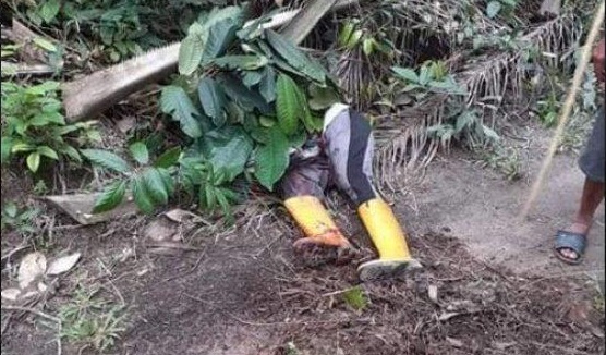 Sreettt...Petani Sawit Tewas dengan Leher Nyaris Putus, Ada Darah di Pisau Egreknya