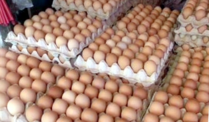 Harga Telur Masih Mahal, Janji Mendag Turunkan Harga Meleset