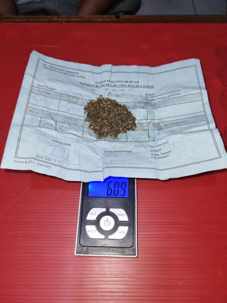 Tim Mata Elang Ungkap Kasus Tindak Pidana Narkotika Jenis Daun Ganja Kering